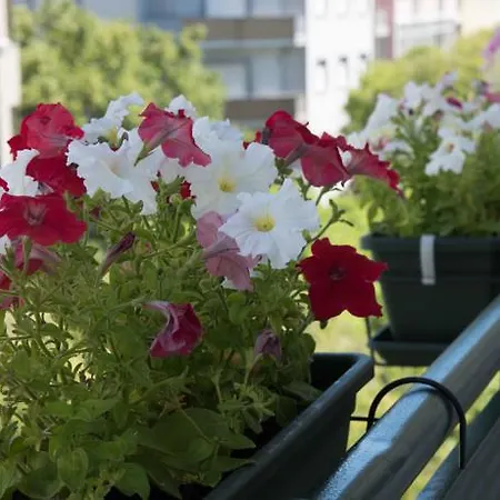Flower Court - (adults Only) 2* Лісабон