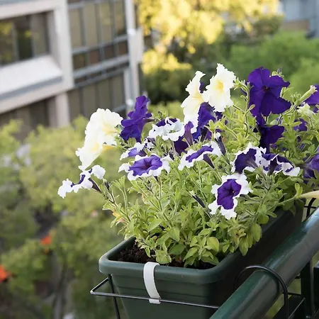 Flower Court - (adults Only) 2* Lisboa